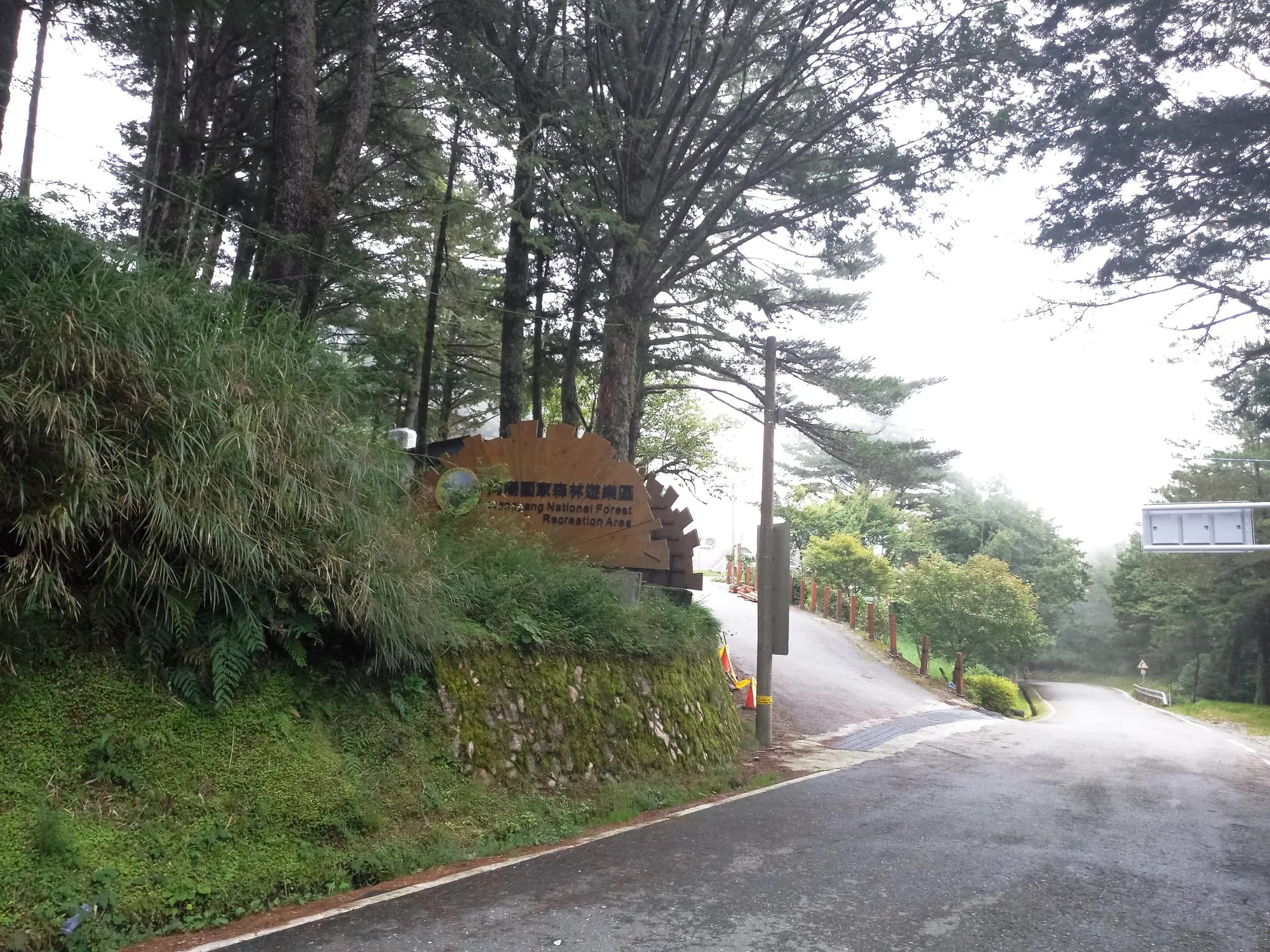 A road winding through mountain forest